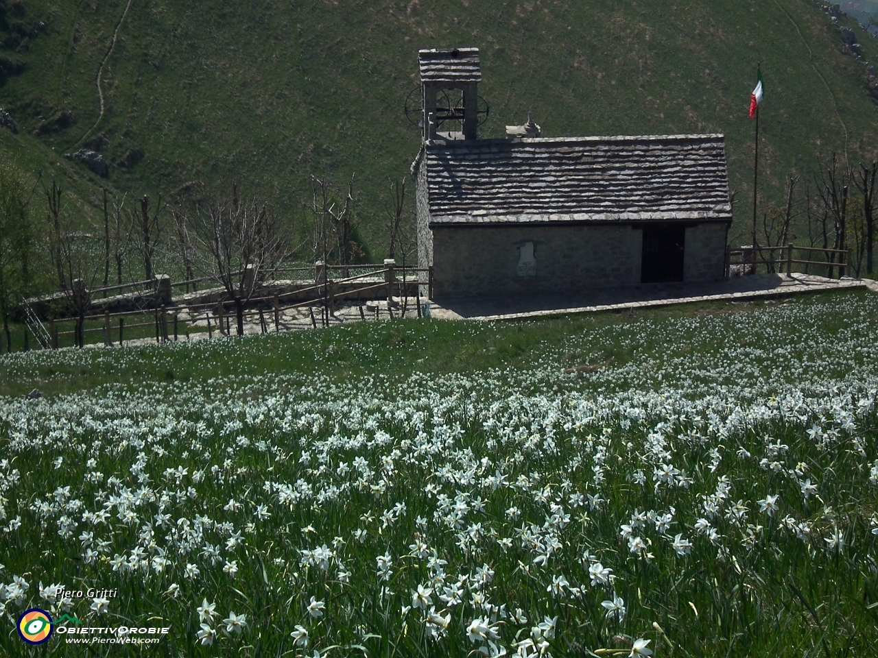 41 dalla chiesetta alla cima del Linzone....JPG